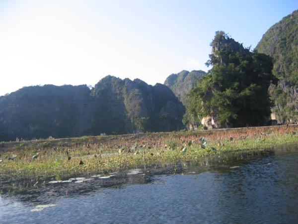 IMG_3799