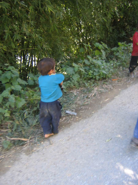 IMG_3711