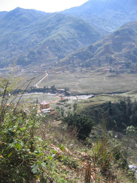 IMG_3733