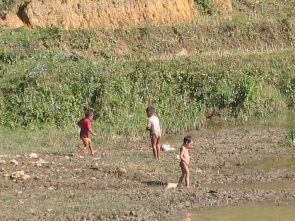 IMG_3770